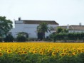 /album/fotogaleria/p1140276-jpg/