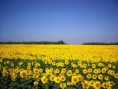 /album/fotogaleria/a3911101-jpg/